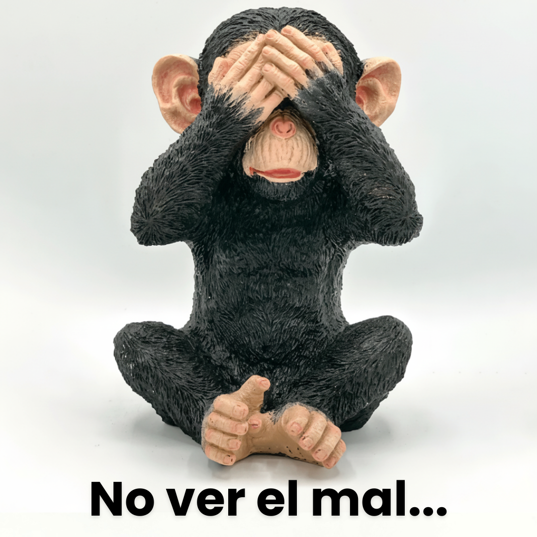 Chimpancés Sabiduría