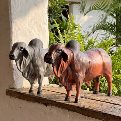 Toro Brahman - Escultura en Realismo