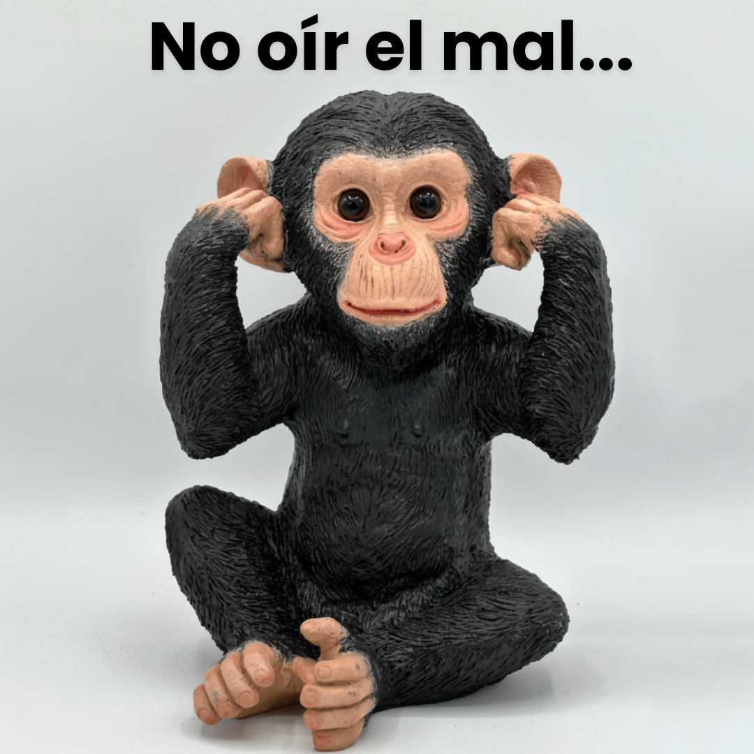 Chimpancés Sabiduría