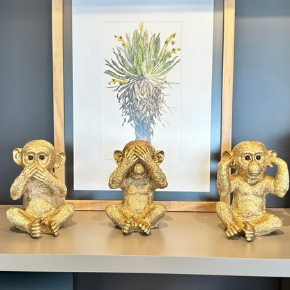 Monos Sabios - Tres Atributos de la sabiduría.