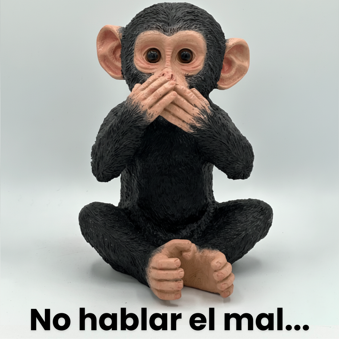 Chimpancés Sabiduría