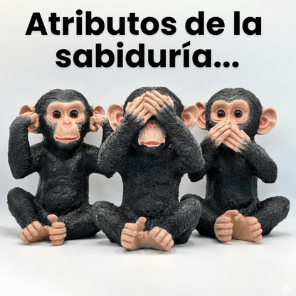 Chimpancés Sabiduría