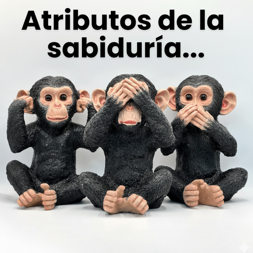 Chimpancés Sabiduría