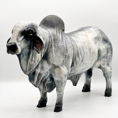 Toro Brahman - Escultura Realismo