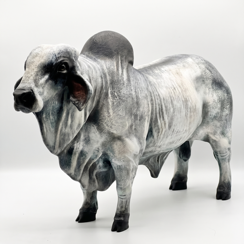 Toro Brahman - Escultura Realismo