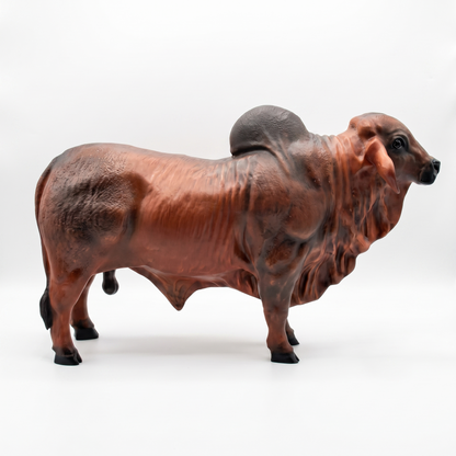 Toro Brahman - Escultura Realismo