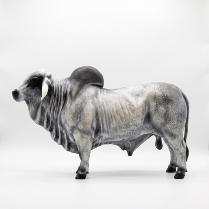Toro Brahman - Escultura Realismo