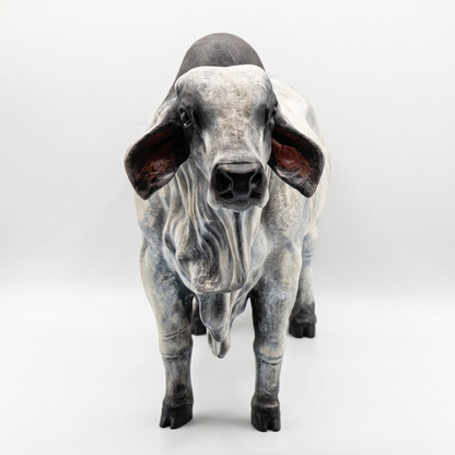 Toro Brahman - Escultura Realismo